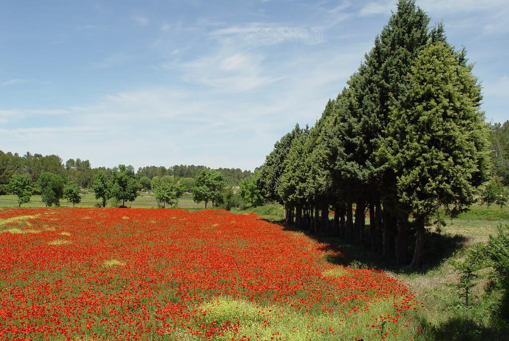 Une Campagne En Provence Bras Екстер'єр фото