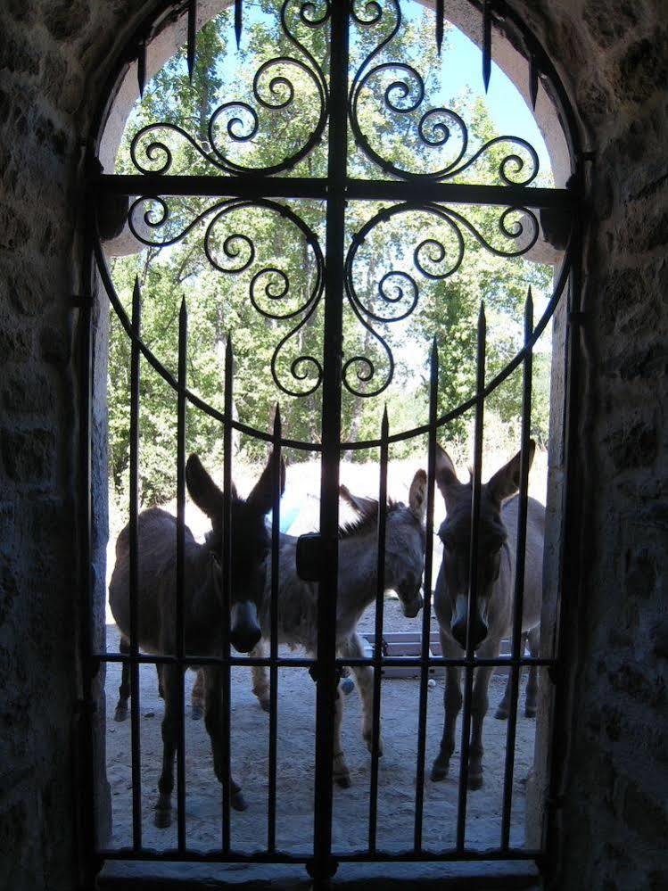 Une Campagne En Provence Bras Екстер'єр фото